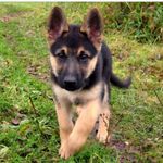Taylor Whitlock - @twhitlock13 - Instagram