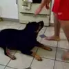 taylor whitlock - @taylor.whitlock5 - TikTok