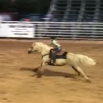 Taylor_Whitton - @taylor_whitton3571 - Instagram