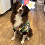 Taylor Wickman - Facebook