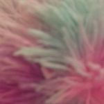 Taylor Wilder - @wilder9397 - Instagram