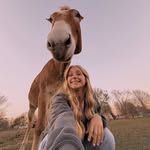 tiller - @taylor.willits - Instagram