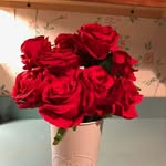Taylor willson - @taylorwillson77 - Instagram