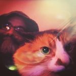 Taylor Windham - @slopham6559 - Instagram
