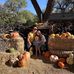 Taylor Womack - Facebook
