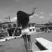 Tayna Smith - Facebook