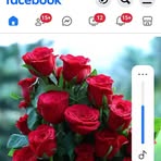 Moru Taza - Facebook