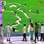 Te Nguyen - @te.nguyen.18041 - Instagram
