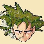 Tea Brooks - @teahitsblinks - Instagram