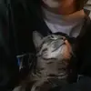 teacher's pet - @teachers.pet80 - TikTok