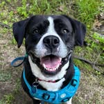 Teacher’s Pet Animal Care Services - @teacherspet_acs - Instagram