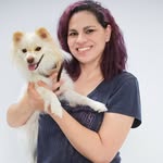 Teacher's Pet Dog Training Los Angeles - @losangelesdogtrainer - Instagram