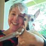 Teacher's Pet Orlando - @teacherspet.orlando - Instagram