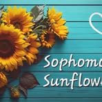 TeachersPet Sophomores - Facebook