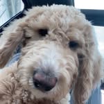 Teagan Allen True - @teagallen - Instagram