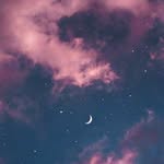 Teagan Carroll - @teagan.carroll.129 - Instagram