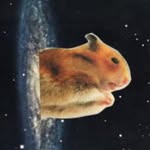 TEAGAN FITZGERALD - @space_hamster13 - Instagram