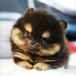 Teagan Joy Terpstra - @teaganjoyterpstra - Instagram