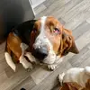 Teagan - @teaganjoy234 - TikTok