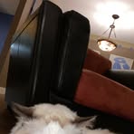 Teagan Kleine - Facebook