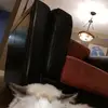 teagankleine - @teagankleine - TikTok