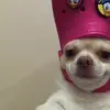 TeaganMurphy - @resxlvdgod - TikTok
