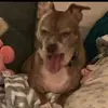 Tea 🧸🤎🌸 - @teagan.rose888 - TikTok