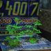 Taga Bukid Boyd - Facebook