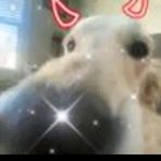 Teague Murphy - Facebook