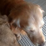 Teague Murphy - Facebook