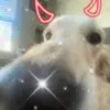 Teague - @teague_murphy - TikTok