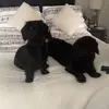 teah•rose - @teah.rose_ - TikTok