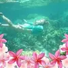 Teal Carpenter - @teal.carpenter - TikTok
