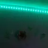 @Teal green crew 💚💙 - @cookiegirl804 - TikTok