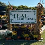 Teal Greenhouse - @tealgreenhouse - Instagram