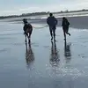 Teal Johnson - @tealjohnson59 - TikTok