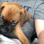 Teal Smith - @teal_is_myname - Instagram