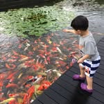 Teck Tang - @frequentflyerkids - Instagram