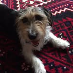 Ted Andrews - @tedeboy2017 - Instagram