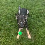 Ted Arnett - @ted.arnett - Instagram