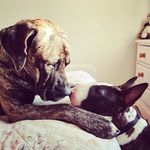 Ted & Arthur - @teddy_and_arthur - Instagram