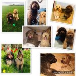 Ted And Arthur - @ted_arthur.love - Instagram