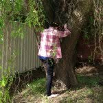 Ted Arthurson - @tedarthurson1 - Instagram