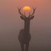 Ted Avery - Facebook