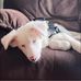 Ted Avery - Facebook