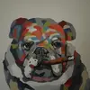 tedbaldwin1 - @tedbaldwin1 - TikTok