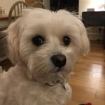 Ted - @ted_ball_chaser - Instagram