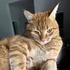tedball - @tedball - TikTok