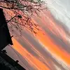 tedball - @tedball04 - TikTok