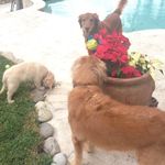 Ted Ballou - @ted202ballou - Instagram